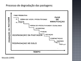 Processo de degradação das pastagens:

Macedo (1999)

 