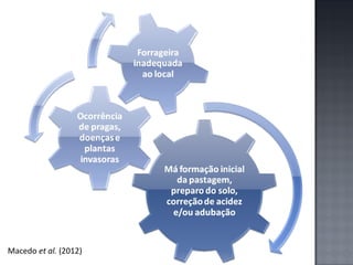 Macedo et al. (2012)

 