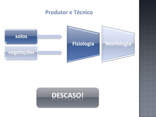 Produtor e Técnico

 
