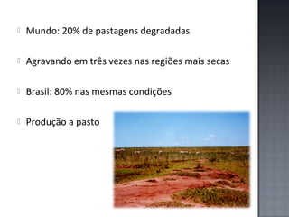 

Mundo: 20% de pastagens degradadas



Agravando em três vezes nas regiões mais secas



Brasil: 80% nas mesmas condições



Produção a pasto

 