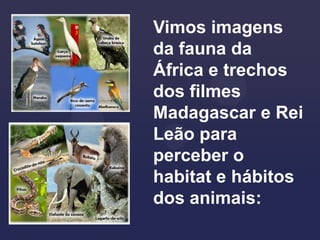 Vimos imagens
da fauna da
África e trechos
dos filmes
Madagascar e Rei
Leão para
perceber o
habitat e hábitos
dos animais:
 