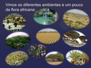 Vimos os diferentes ambientes e um pouco
da flora africana:
 