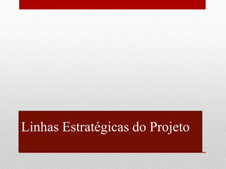 Linhas Estratégicas do Projeto  