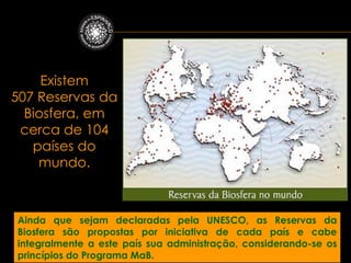 Existem
507 Reservas da
  Biosfera, em
 cerca de 104
   países do
    mundo.



Ainda que sejam declaradas pela UNESCO, as Reservas da
Biosfera são propostas por iniciativa de cada país e cabe
integralmente a este país sua administração, considerando-se os
princípios do Programa MaB.
 