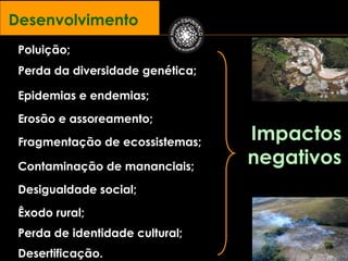 Desenvolvimento
 Poluição;
 Perda da diversidade genética;

 Epidemias e endemias;

 Erosão e assoreamento;

 Fragmentação de ecossistemas;    Impactos
 Contaminação de mananciais;
                                  negativos
 Desigualdade social;
 Êxodo rural;
 Perda de identidade cultural;
 Desertificação.
 