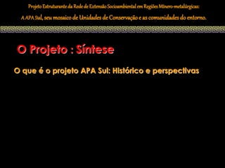 Projeto Estruturante da Rede de Extensão Socioambiental em Regiões Mínero-metalúrgicas:
  A APA Sul, seu mosaico de Unidades de Conservação e as comunidades do entorno.




O Projeto : Síntese
O que é o projeto APA Sul: Histórico e perspectivas
 