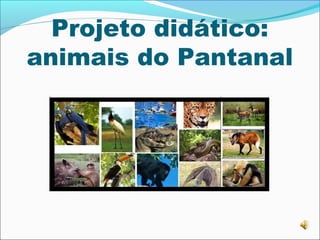 Projeto didático:
animais do Pantanal

 