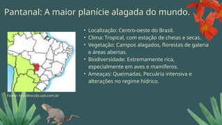 • Localização: Centro-oeste do Brasil.
• Clima: Tropical, com estação de cheias e secas.
• Vegetação: Campos alagados, florestas de galeria
e áreas abertas.
• Biodiversidade: Extremamente rica,
especialmente em aves e mamíferos.
• Ameaças: Queimadas, Pecuária intensiva e
alterações no regime hídrico.
Pantanal: A maior planície alagada do mundo.
Fonte: brasilescola.uol.com.br
 