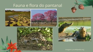 Fauna e flora do pantanal
imagens: pt.wikipedia.org
 
