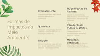 Formas de
impactos ao
Meio
Ambiente:
·Impulsionada pela agricultura,
pecuária e exploração
madeireira.
Desmatamento
Devastam a vegetação, liberam
carbono e contribuem para as
mudanças climáticas.
Queimada
Contaminação da água, do solo
e do ar por agrotóxicos, metais
pesados e outros poluentes.
Poluição
·Divide os ecossistemas,
dificultando a movimentação
de animais e a dispersão de
sementes.
Fragmentação de
habitats:
·Desequilibram os
ecossistemas e ameaçam
espécies nativas.
Introdução de
espécies exóticas:
·A intensificação de eventos
extremos, como secas e
inundações, afeta os biomas.
Mudanças
climáticas:
 