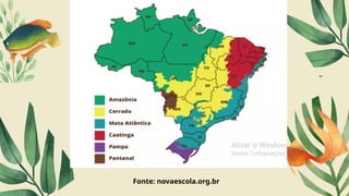 Fonte: novaescola.org.br
 