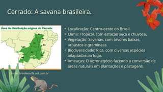 Cerrado: A savana brasileira.
• Localização: Centro-oeste do Brasil.
• Clima: Tropical, com estação seca e chuvosa.
• Vegetação: Savanas, com árvores baixas,
arbustos e gramíneas.
• Biodiversidade: Rica, com diversas espécies
adaptadas ao fogo.
• Ameaças: O Agronegócio fazendo a conversão de
áreas naturais em plantações e pastagens.
Fonte: brasilescola.uol.com.br
 