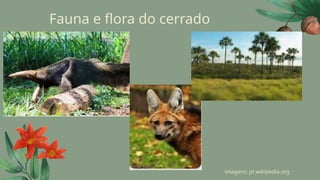 Fauna e flora do cerrado
imagens: pt.wikipedia.org
 