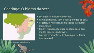 Caatinga: O bioma da seca.
• Localização: Nordeste do Brasil.
• Clima: Semiárido, com longos períodos de seca.
• Vegetação: Xerófitas, como cactos e arbustos
espinhosos.
• Biodiversidade: Adaptada ao clima seco, com
muitas espécies exclusivas.
• Ameaças: Extração de lenha e água de forma
insustentável.
Fonte: brasilescola.uol.com.br
 