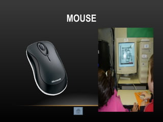 MOUSE 