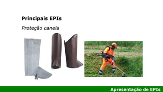Apresentação de EPIs
Principais EPIs
Proteção canela
 