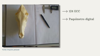 124 ECC
Paquímetro digital
Fonte: Arquivo pessoal
 