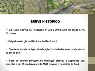 BREVE HISTÓRICO

 Em 1982, através da Resolução n° 238 e 30/08/1982, foi criado o PA
Rio Juma


 Originário das glebas Rio Juma I e Rio Juma II


 Objetivou atender antiga reivindicação dos trabalhadores rurais vindos
do sul do país


 Face ao intenso processo de imigração cresceu a população das
agrovilas e em 30 de dezembro de 1987 criou-se o município de Apuí.
 