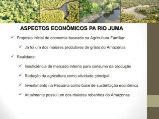  Proposta inicial de economia baseada na Agricultura Familiar

     Já foi um dos maiores produtores de grãos do Amazonas

 Realidade:

     Insuficiência de mercado interno para consumo da produção

     Redução da agricultura como atividade principal

     Investimento na Pecuária como base de sustentação econômica

     Atualmente possui um dos maiores rebanhos do Amazonas
 
