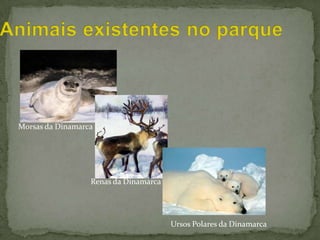 Informações sobre o país: Nome nativo: Κύπρος e KýprosNome em inglês: CyprusCapital: Nicósia Regime: República Idioma: Grego, Turco, Inglês ->é uma ilha situada no mar Egeu oriental ao sul da Turquia.