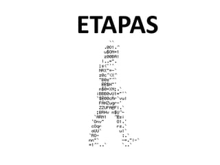 ETAPAS
 