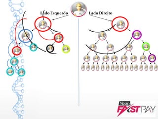 Lado Esquerdo Lado Direito
 