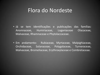 Flora do Nordeste

• Já se tem identificações e publicações das famílias:
  Anonnaceae,    Humiriaceae,   Loganiaceae Olacaceae,
  Malvaceae, Rhamnaceae e Phytolaccaceae.

• Em andamento: Rubiaceae, Myrtaceae, Malpighiaceae,
  Orchidaceae, Solanaceae, Polygalaceae, Turneraceae,
  Malvaceae, Bromeliaceae, Erythroxylaceae e Combretaceae.
 
