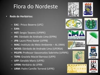 Flora do Nordeste
• Rede de Herbários:

   –   EAC: Prisco Bezerra (UFC)
   –   EAN:
   –   HST: Sergio Tavares (UFRPE)
   –   IPA: Dárdado de Andrade Lima (EPPA)
   –   JPB: Lauro Pires Xavier (UFPB)
   –   MAC: Instituto do Meio Ambiente – AL (IMA)
   –   MOSS: Dárdado de Andrade Lima (UFERSA)
   –   PEUFR: Professor Vasconcelos Sobrinho (UFRPE)
   –   TEPB: Graziela Maciel Barroso (UFPI)
   –   UFP: Geraldo Mariz (UFPE)
   –   UFRN: Herbário da UFRN
   –   URM: Padre Camille Torrend (UFPE)
 