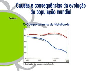 Causas:

          O Comportamento da Natalidade
 