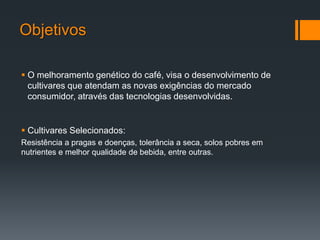 Objetivos

 O melhoramento genético do café, visa o desenvolvimento de
  cultivares que atendam as novas exigências do mercado
  consumidor, através das tecnologias desenvolvidas.


 Cultivares Selecionados:
Resistência a pragas e doenças, tolerância a seca, solos pobres em
nutrientes e melhor qualidade de bebida, entre outras.
 