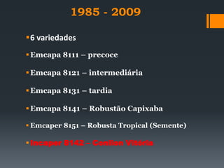 1985 - 2009

6 variedades
 Emcapa 8111 – precoce

 Emcapa 8121 – intermediária

 Emcapa 8131 – tardia

 Emcapa 8141 – Robustão Capixaba

 Emcaper 8151 – Robusta Tropical (Semente)

 Incaper 8142 – Conilon Vitória
 