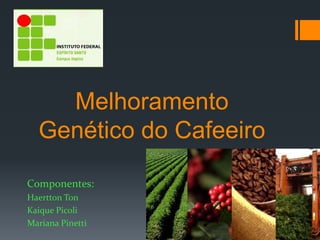 Melhoramento
  Genético do Cafeeiro

Componentes:
Haertton Ton
Kaique Picoli
Mariana Pinetti
 