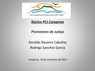 Núcleo PCJ-Campinas
Promotores de Justiça
Geraldo Navarro Cabañas
Rodrigo Sanches Garcia
Campinas, 19 de novembro de 2015
 