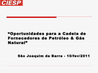 “ Oportunidades para a Cadeia de Fornecedores de Petróleo & Gás Natural” São Joaquim da Barra - 10/fev/2011 