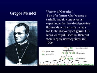 "Father of Genetics"
Gregor Mendel    Son of a farmer who became a
                catholic monk, conducted an
                experiment that involved growing
                thousands of pea plants, which
 1822-1884
                led to the discovery of genes. His
                ideas were published in 1866 but
                went largely unrecognized until
                1900.
 