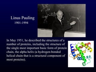 Linus Pauling
      1901-1994




In May 1951, he described the structures of a
number of proteins, including the structure of
the single most important basic form of protein
chain, the alpha helix (a hydrogen-bonded
helical chain that is a structural component of
most proteins).
 