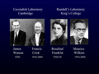 Cavendish Laboratory       Randall’s Laboratory
   Cambridge                 King’s College




James       Francis     Rosalind      Maurice
Watson      Crick       Franklin      Wilkins
 1928-      1916-2004    1920-58       1916-2004
 