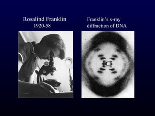 Rosalind Franklin   Franklin’s x-ray
    1920-58         diffraction of DNA
 