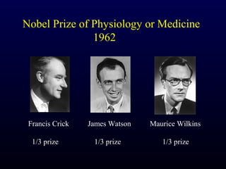 Nobel Prize of Physiology or Medicine
               1962




 Francis Crick   James Watson   Maurice Wilkins

  1/3 prize       1/3 prize        1/3 prize
 