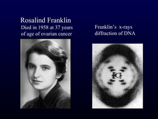 Rosalind Franklin
Died in 1958 at 37 years   Franklin’s x-rays
of age of ovarian cancer   diffraction of DNA
 