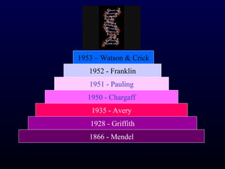 1953 – Watson & Crick
   1952 - Franklin
   1951 - Pauling
  1950 - Chargaff
    1935 - Avery
   1928 - Griffith
   1866 - Mendel
 