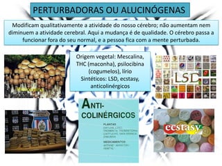 PERTURBADORAS OU ALUCINÓGENAS
Modificam qualitativamente a atividade do nosso cérebro; não aumentam nem
diminuem a atividade cerebral. Aqui a mudança é de qualidade. O cérebro passa a
funcionar fora do seu normal, e a pessoa fica com a mente perturbada.
Origem vegetal: Mescalina,
THC (maconha), psilocibina
(cogumelos), lírio
Sintéticos: LSD, ecstasy,
anticolinérgicosPscilocibina
 