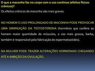 O que a maconha faz no corpo com o uso contínuo (efeitos físicos
crônicos)?
Os efeitos crônicos da maconha são mais graves:
NO HOMEM O USO PROLONGADO DE MACONHA PODE PROVOCAR
UMA DIMINUIÇÃO DA TESTOSTERONA (hormônio que confere ao
homem maior quantidade de músculos, a voz mais grossa, barba,
também é responsável pela fabricação do espermatozóides).
NA MULHER PODE TRAZER ALTERAÇÕES HORMONAIS CHEGANDO
ATÉ A INIBIÇÃO DA OVULAÇÃO.
 