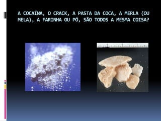 A COCAÍNA, O CRACK, A PASTA DA COCA, A MERLA (OU
MELA), A FARINHA OU PÓ, SÃO TODOS A MESMA COISA?
 