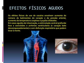 EFEITOS FÍSICOS AGUDOS
Os efeitos físicos do uso de cocaína envolvem aumento do
número de batimentos do coração e da pressão arterial,
aumento da temperatura corpórea e pupilas dilatadas.
Em casos agudos de intoxicação, a estimulação central profunda
leva a convulsões e arritmias ventriculares (o coração bate
descompassadamente) e com disfunção respiratória que podem
levar à morte.
 