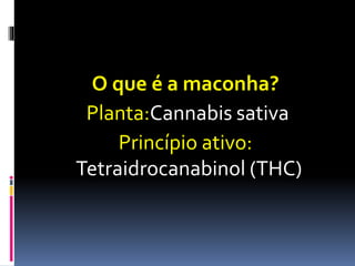 O que é a maconha?
Planta:Cannabis sativa
Princípio ativo:
Tetraidrocanabinol (THC)
 