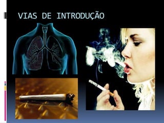 VIAS DE INTRODUÇÃO
 