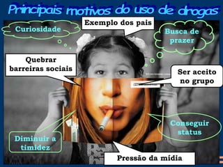 Busca de
prazer
Ser aceito
no grupo
Curiosidade
Quebrar
barreiras sociais
Conseguir
status
Diminuir a
timidez
Pressão da mídia
Exemplo dos pais
 