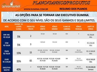 RESUMO DOS PLANOSWWW.DUMINA.COM.BR
AS OPÇÕES PARA SE TORNAR UM EXECUTIVO DUMINA
DE ACORDO COM O SEU NÍVEL SÃO OS SEUS GANHOS E SEUS LIMITES.
 