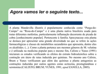 Agora vamos ler o seguinte texto...
A planta Mandevilla illustris é popularmente conhecida como “Purga-do-
Campo” ou “Rosa-do-Campo” e é uma planta nativa brasileira usada para
tratar diferentes moléstias, particularmente inflamação decorrente de picada de
cobra [conhecimento popular]. Pertencente à família Apocynaceae esta planta
se destaca por apresentar uma grande diversidade no que se refere às ações
farmacológicas e classes de metabólitos secundários que apresenta, dentre eles
os alcalóides. (...). Como a planta pertence aos mesmos gêneros de M. velutina
e é utilizada na medicina popular para o mesmo fim, Calixto e Yunes (1991)
iniciaram os estudos verificando os efeitos do extrato hidroalcóolico sobre a
contração em útero de ratas induzida por quininas. No mesmo ano Calixto,
Brum e Yunes verificaram que além das quininas a planta antagoniza as
contrações induzidas por outros agentes como ocitocina, prostaglandinas e
serotonina (CALIXTO; BRUM; YUNES, 1991, apud ZANELLA, 2005).
 